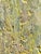 Contemporary Artwork "Golden Light" High Texture Oil Colorfield Painting on Canvas Board by Cl Auker For Sale - Image 4 of 6