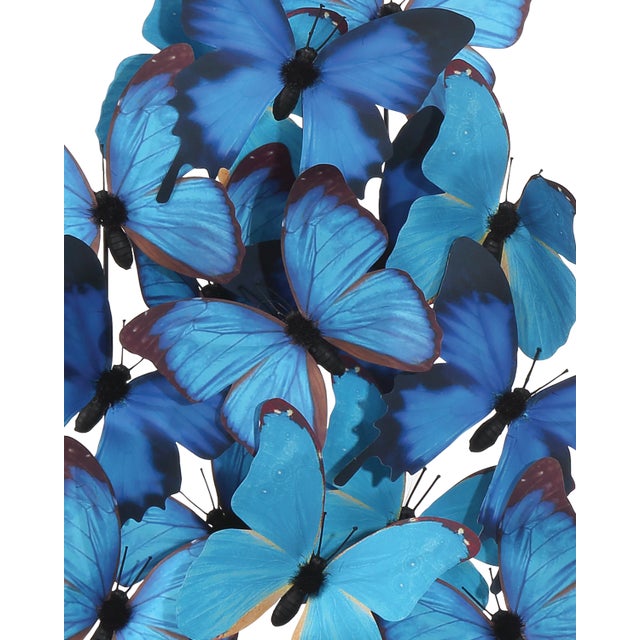 Transitional Currey & Company Rue de Bac Medium Butterflies For Sale - Image 3 of 10
