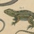 Paper Bertuch, Five Exotic Lizards, 1820, Print For Sale - Image 7 of 12