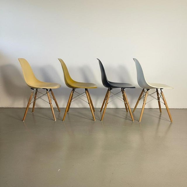 Blue DSW Side Chairs in Parchment, Navy Blue, Light Olive and Light Ochre by Eames for Herman Miller, 1960s, Set of 4 For Sale - Image 8 of 17