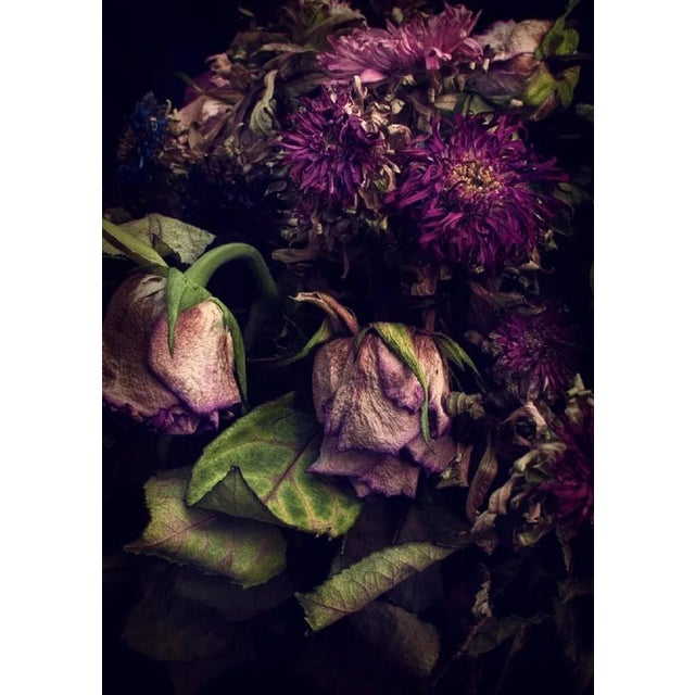Close Up of Decaying Flowers, Photographic Paper, in Flawless conditions. Designed from 2000 This piece has an attribution...