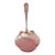 Baltimore Rose Sterling Silver Bon Bon Serving Spoon Schofield 1905 For Sale