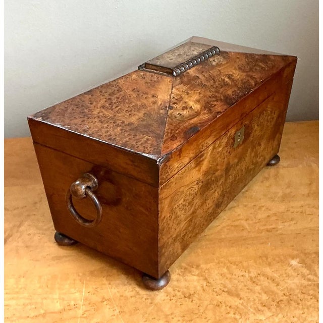Vintage Burl and Brass Decorative Box For Sale - Image 13 of 13