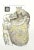 Deseaes of the Stomach of Epiploon is a lithograph hand colored by Ottavio Muzzi for the edition of Antoine Chazal,Human...