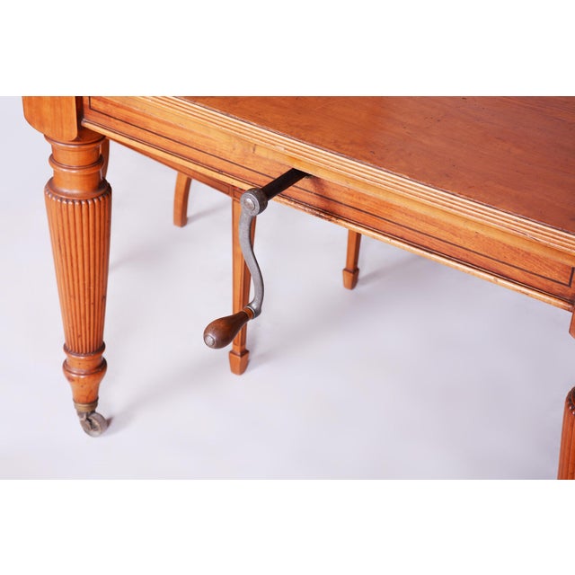 19th Century British Dining Room in Satin Wood, Set of 15 For Sale - Image 12 of 18