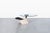 Italian Postmodern Travertine “Zeus” Adjustable Coffee Table by Lapalma For Sale - Image 10 of 14