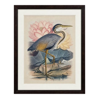 Vintage Blue Heron Lotus Framed Print For Sale