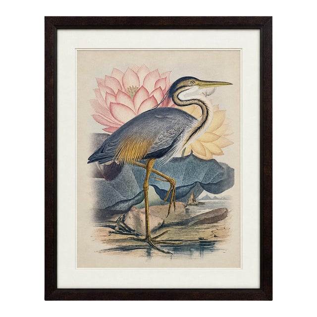 Vintage Blue Heron Lotus Framed Print For Sale