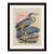 Vintage Blue Heron Lotus Framed Print For Sale