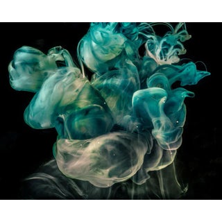 Sea Star by Javiera Estrada Print, 50" x 62" For Sale