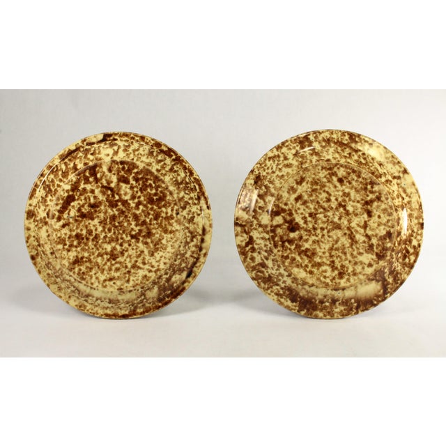 19th Century 19th Century Pair of Rockingham Glaze Spatterware Yellowware Pottery Plates For Sale - Image 5 of 17