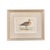 English 19th Century English Bird Engravings by Alexander Francis Lydon, Set 12 For Sale - Image 3 of 18