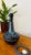 Model 1059 Table Lamp from Søholm, 1960s For Sale - Image 4 of 11