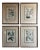 Set of four original copper plated mezzo tint botanical engravings printed in color and finished by hand. Published 1734 -...