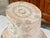 English 19th Century Victorian Period Paper Hat Box with Floral Décor For Sale In Atlanta - Image 6 of 12