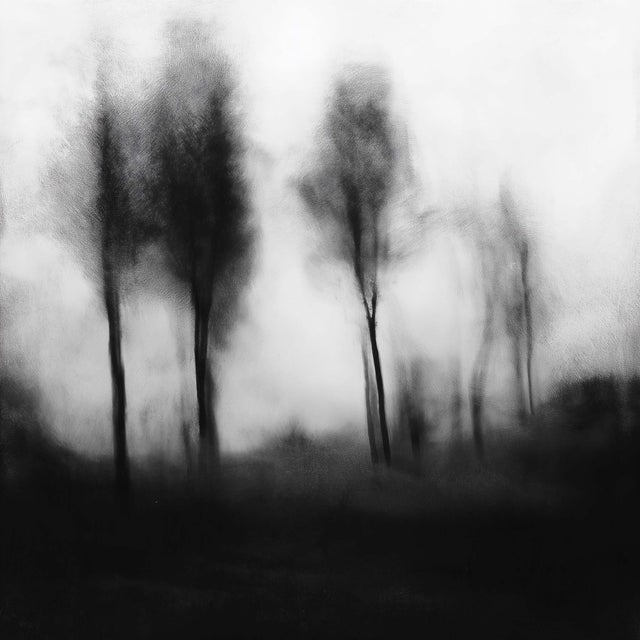 Blurred Landscape No. 1 is an original black and white photograph from a contemplative series exploring atmosphere,...