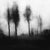 Blurred Landscape No. 1 is an original black and white photograph from a contemplative series exploring atmosphere,...