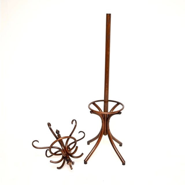 Antique Victorian Bentwood Hatstand, 1890 For Sale - Image 9 of 10