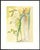 1963 Dalí Divine Comedy Engraving Paradis Chant 15 "L'Apparition De l'Arrière-Arrière-Grand-Père" (The Apparition of the Great-Great-Grandfather) For Sale