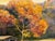 Nancy Paris Pruden "Sunset at The Horse Barn" Contemporary Naturalistic Pastoral Landscape Painting, 2020s For Sale - Image 10 of 11
