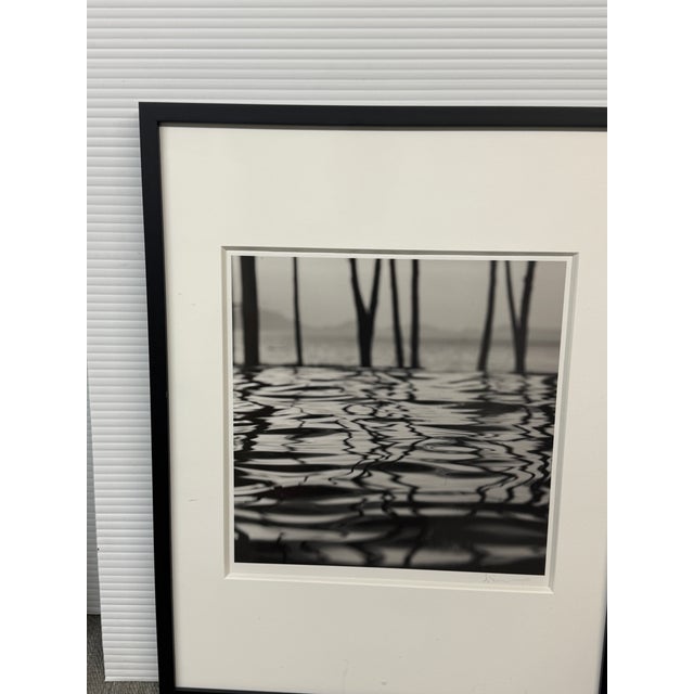 Traditional Michal Venera Twigs and Water Black & White Photograph, Framed For Sale - Image 3 of 12