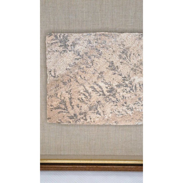 Large 1970s Manganese Oxide Dendrite Slab on Gypsum Matted Framed Rare For Sale - Image 10 of 12