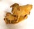 Mid 20th Century Japanese Yellow Jasper Hardstone Carving of a Cow and Calf For Sale - Image 5 of 16