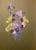 Pastel Painting Gladiolus Serdyuk Boris Petrovich For Sale