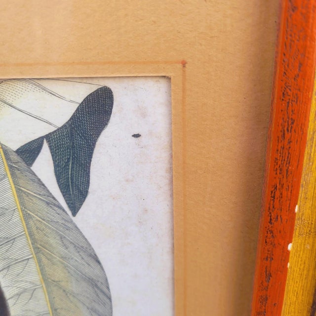Framed Animal Engravings, 19th Century, Set of 6 For Sale - Image 6 of 18