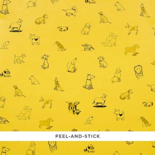 SAMPLE - Schumacher x The New Yorker Good Dogs Everywhere Peel & Stick Wallpaper In Taxi-Cab Yellow For Sale