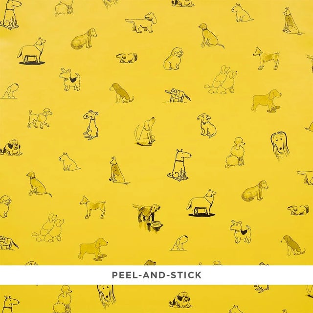 SAMPLE - Schumacher x The New Yorker Good Dogs Everywhere Peel & Stick Wallpaper In Taxi-Cab Yellow For Sale