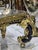 Bronze French Rococo Coffee Table With Hand-Painted Artwork Under Glass & Gilded Bronze Details For Sale - Image 8 of 11