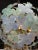 2000 - 2009 Murano Flower Globe Chandelier For Sale - Image 5 of 9