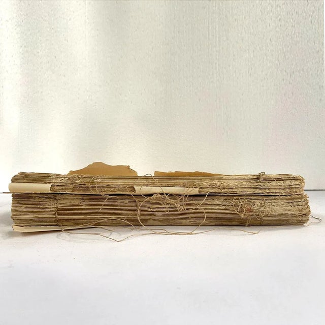 Rare Book Thomas G. Gentry Nests and Eggs of Birds of the United States For Sale In Denver - Image 6 of 16