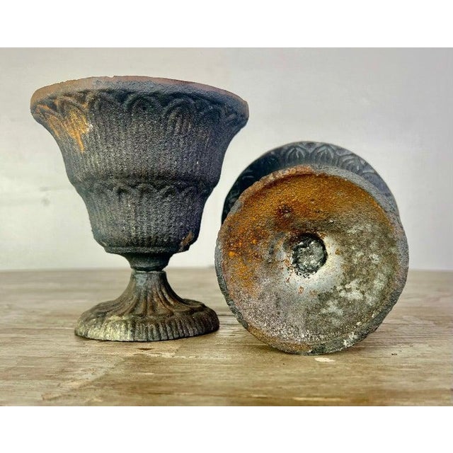 Gray Neoclassical Cast Iron Urns, Distressed Finish, France, 20th Century For Sale - Image 8 of 10