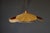 Ingo Maurer Hana II Chandelier Uchiwa Series by Ingo Maurer for Design M, Germany, 1970s For Sale - Image 4 of 14
