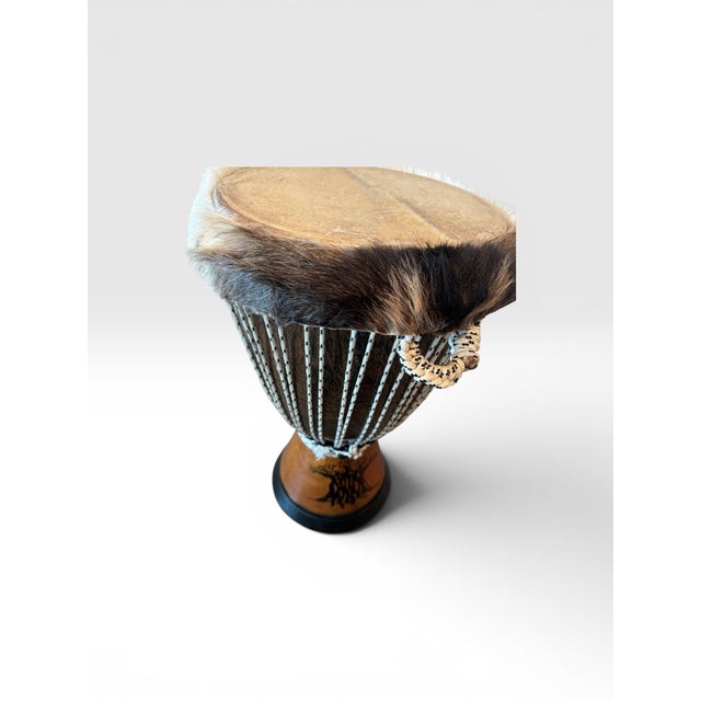 Professional West African Djembe Hand Carved Baobab Tree Drum With Case For Sale In Portland, ME - Image 6 of 7