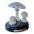 Vintage Botanical Mushroom Study Model For Sale