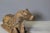 19th Century Sacred Cow in Carved Wood, India, 1800s For Sale - Image 10 of 12