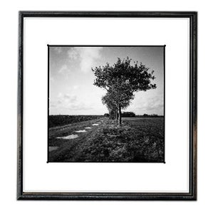 Paul Cooklin, Puddles, Occold Farm, Suffolk, Edition of 50 For Sale
