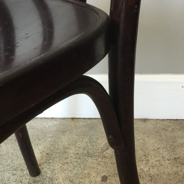 Set of 8 Early 20th Century Wojciechów Thonet Chairs For Sale - Image 9 of 9