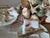Beautiful 60-piece collection of seashells and corals. Collected by a world traveler in the '60's, many of these beauties...
