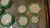 Germoglio Dinnerware Set by Colin Morrow for Arpex, Italy, 1970s, Set of 26 For Sale - Image 4 of 15