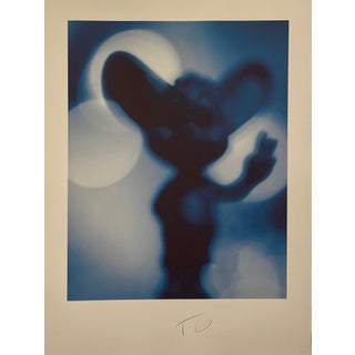 Todd Gray, Color Iris Photo Print Conceptual Cartoon Toy Doll Figurine Photograph Todd Gray, c.1997 For Sale