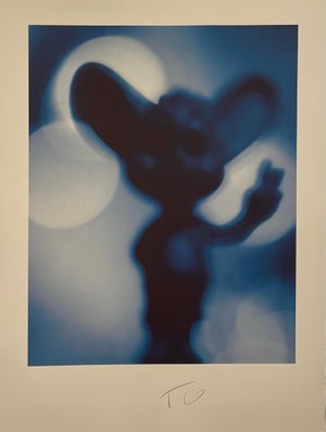 Todd Gray, Color Iris Photo Print Conceptual Cartoon Toy Doll Figurine Photograph Todd Gray, c.1997