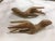 1960s 1960s Mid-Century Wooden Hands - a Pair For Sale - Image 5 of 9