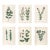Antique Botanical Set of 6, Early 19th Century Reproduction Prints For Sale