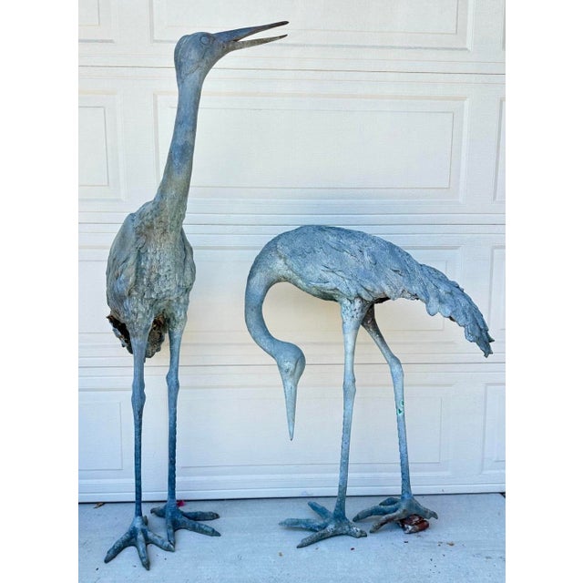 1920s Monumental Pair of Life-Size Bronze Crane Garden Sculptures With Verdigris... For Sale In San Diego - Image 6 of 18