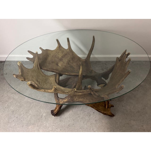 Stunning coffee table made of moose antlers and an oval glass top. There are suction cups on the antlers to keep the glass...
