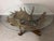 Stunning coffee table made of moose antlers and an oval glass top. There are suction cups on the antlers to keep the glass...